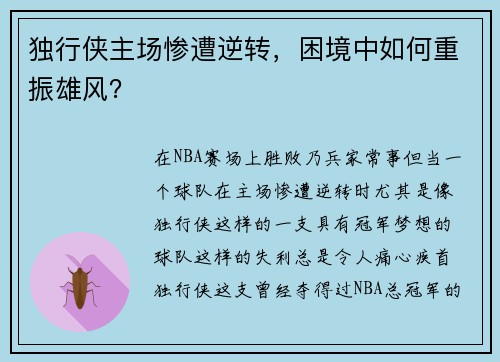 独行侠主场惨遭逆转，困境中如何重振雄风？
